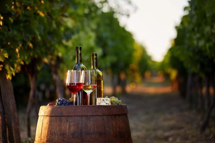 Private Wine Tasting Tour in Munich With a Wine Expert - Wine Tasting Experience