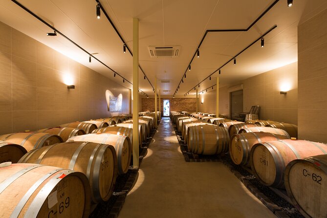 Private Wine Tasting Tour in Yamanashi Prefecture - Local Delicacies and Food Pairings