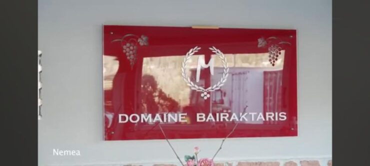 Private Wine Tasting Tour of Peloponnese - Temple of Zeus at Nemea