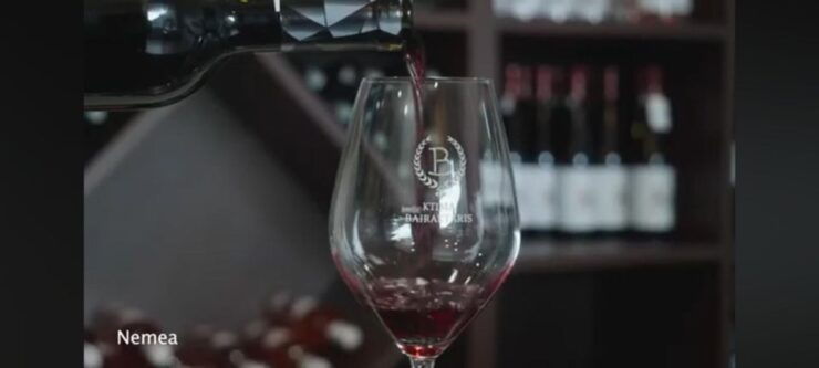 Private Wine Tasting Tour of Peloponnese - Architectural Orders of the Temple