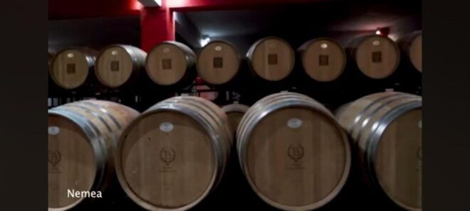 Private Wine Tasting Tour of Peloponnese - Pickup Information