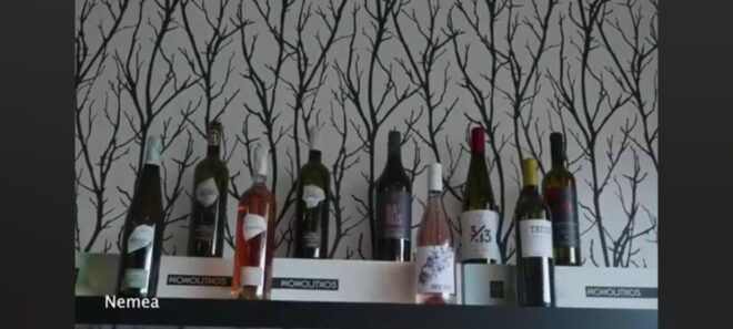 Private Wine Tasting Tour of Peloponnese - The Sum Up