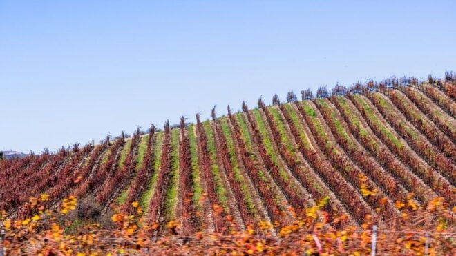 Private Wine Tasting Tour to Santa Ynez From Los Angeles - Exclusions