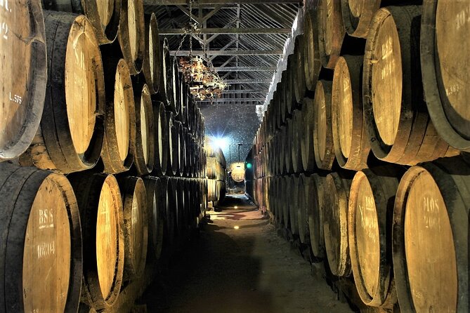 Private Wine Tasting Tour to the Setubal Wine Region From Lisbon - Reviews