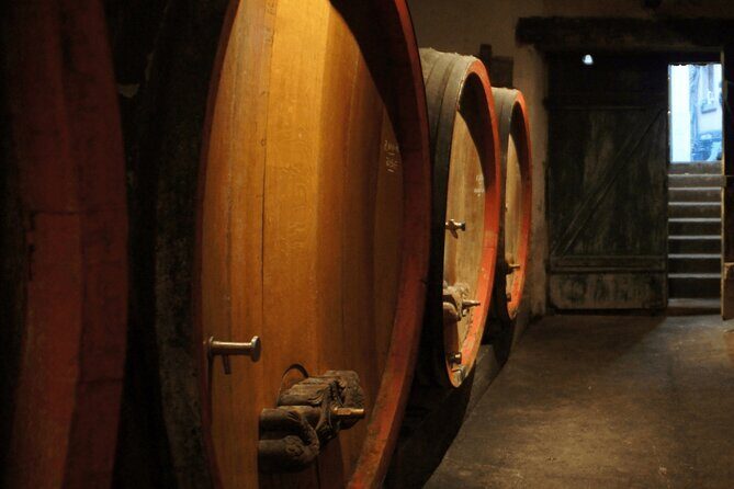 Private Wine Tasting Tour With Personal Driver in Alsace - Who Is This Tour Best For?