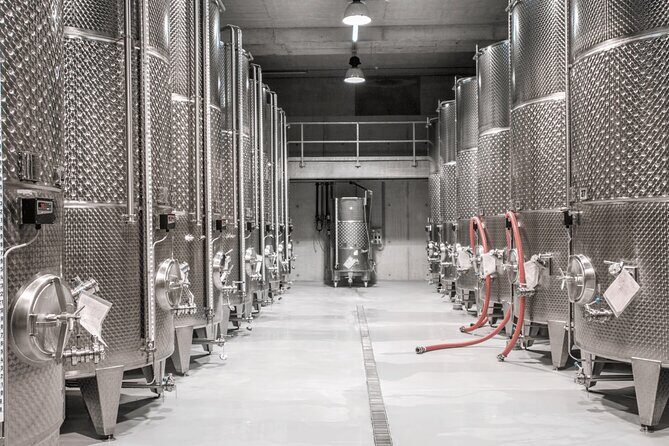 Private Wine Tasting Tour With Personal Driver in Alsace - Final Thoughts