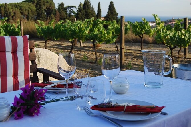 Private Wine Tasting Tour With Picnic Lunch and Hotel Pick up Near Barcelona - Customer Reviews