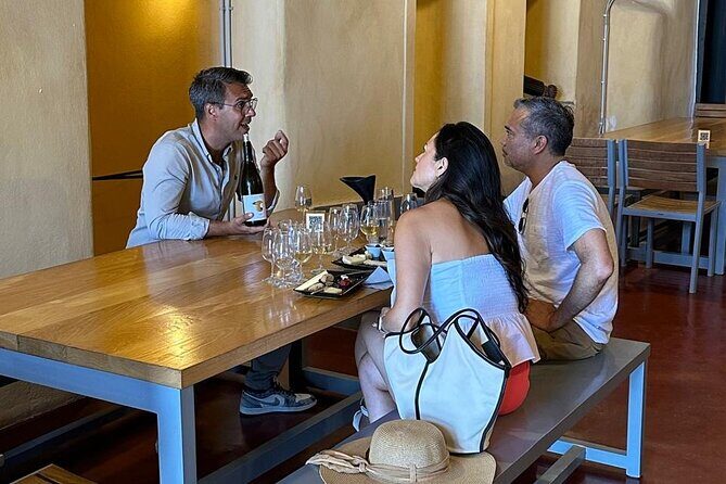 Private Wine Tasting-Wine Museum- Snacks: 2, 3 or 4 Wineries - Who Should Consider This Tour?
