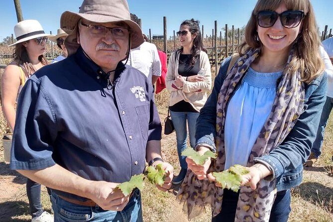 Private wine tasting & wine pairing tours - Final Thoughts