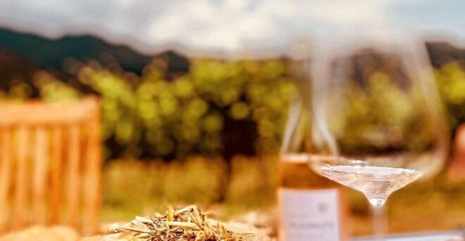 Private Wine Tasting With Transportation - Description