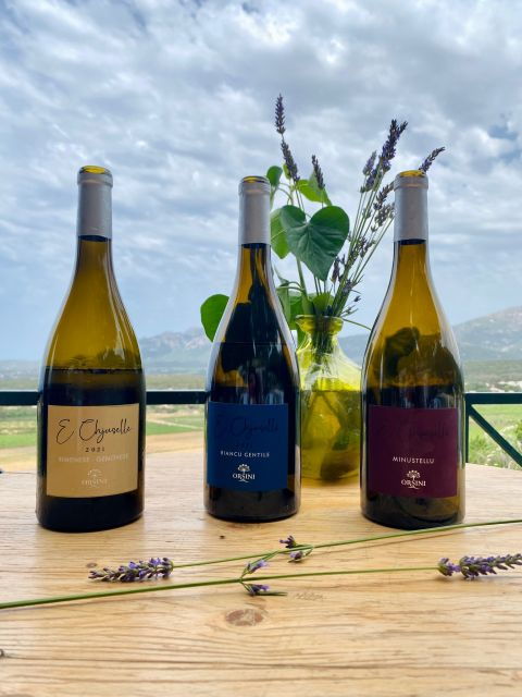 Private Wine Tastings Around Calvi & Île-Rousse - Exploring Corsican Vineyards