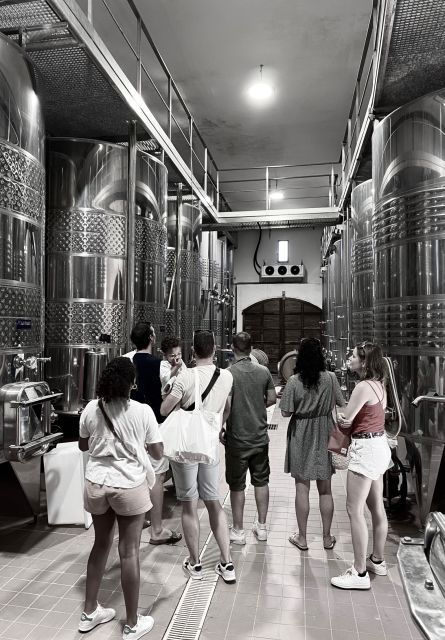 Private Wine Tastings Around Calvi & Île-Rousse - Meeting Local Wine Producers