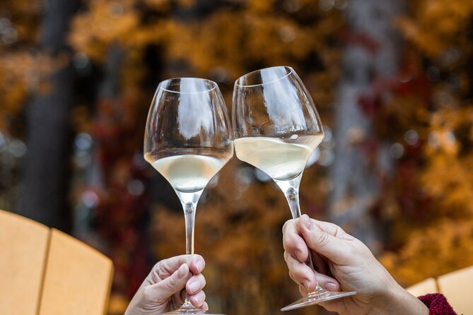 Private Wine Tastings in Simcoe County - Private Wine Tasting Experiences