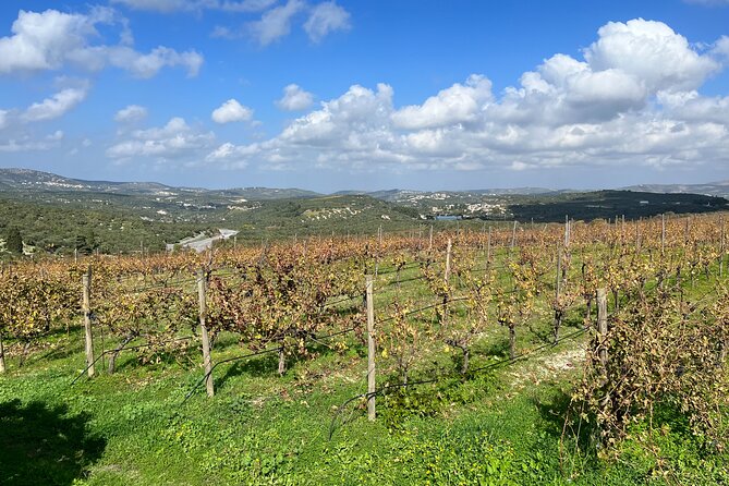 Private Wine Tour and Tastings at Dafnes Valley (Lunch Included) - Booking Confirmation and Communication