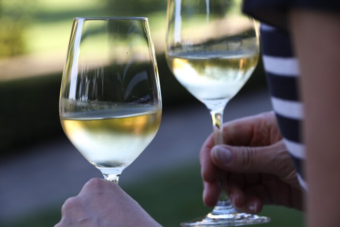 Private Wine Tour and Tastings at Dafnes Valley (Lunch Included) - Common Questions