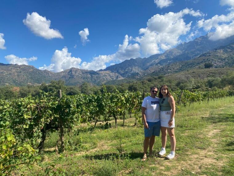 Private Wine Tour Around Ile Rousse & Calvi With Transport - Accessibility and Suitability