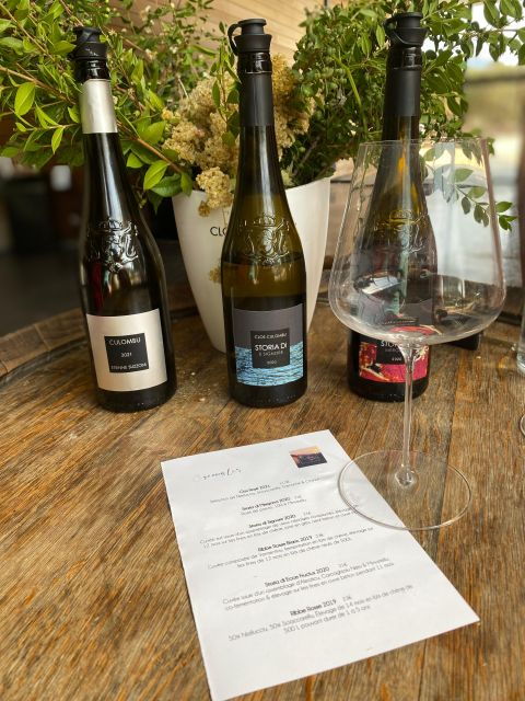 Private Wine Tour Around Ile Rousse & Calvi With Transport - The Wine Regions of Ile Rousse and Calvi