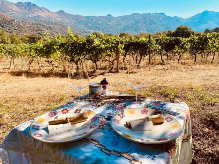 Private Wine Tour Around Ile Rousse & Calvi With Transport - Local Producers and Their Culture
