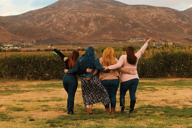 Private Wine Tour at Valle De Guadalupe (A Wine Tasting Included). - The Sum Up