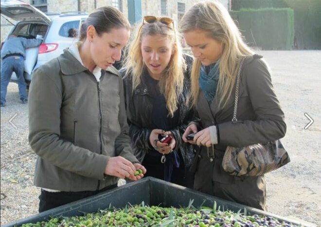 Private Wine Tour for 2 With Tastings & Lunch at 2 Winery - Pickup and Accessibility