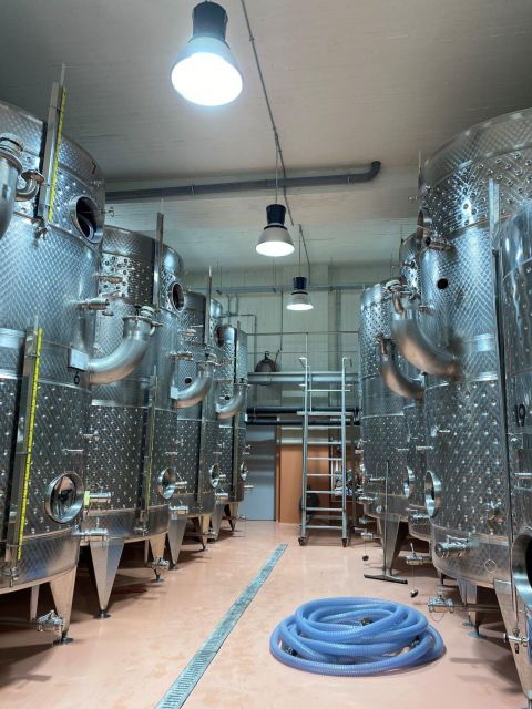 Private Wine Tour for Wine Enthusiasts by Certified Guide - Experience