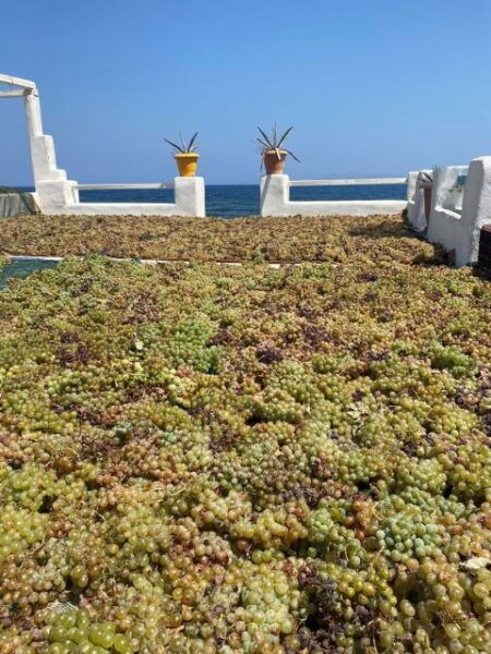 Private Wine Tour for Wine Enthusiasts by Certified Guide - Background
