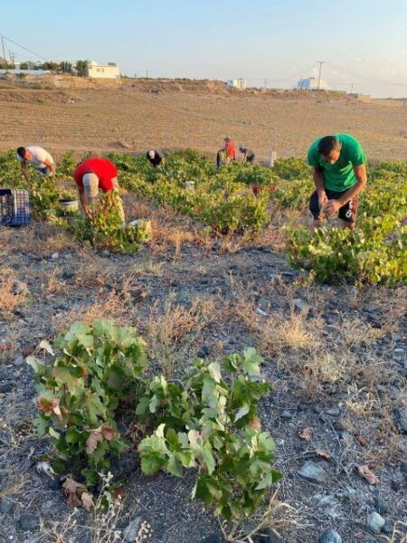 Private Wine Tour for Wine Enthusiasts by Certified Guide - Directions
