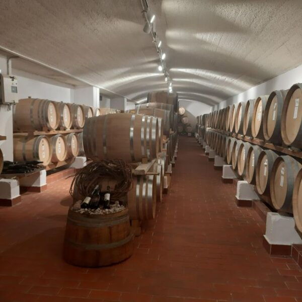 Private Wine Tour for Wine Enthusiasts by Certified Guide - Common Questions