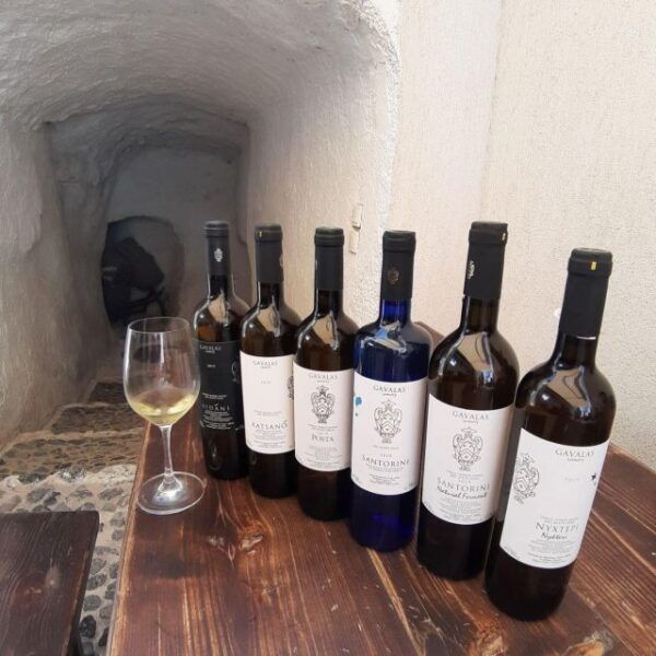 Private Wine Tour for Wine Enthusiasts by Certified Guide - The Sum Up