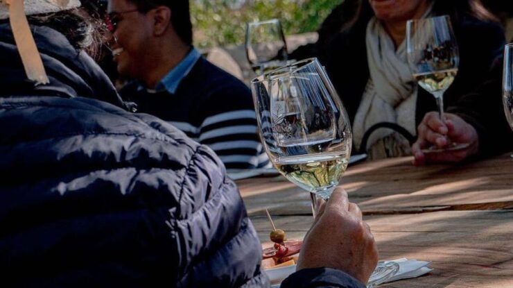 Private Wine Tour From Guanajuato City - Itinerary and Highlights