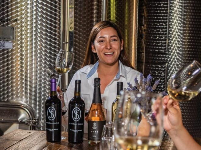 Private Wine Tour From Guanajuato City - Inclusions and Exclusions