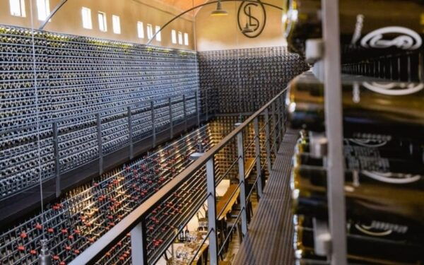 Private Wine Tour From Guanajuato City - Scenic Drive to Vineyard