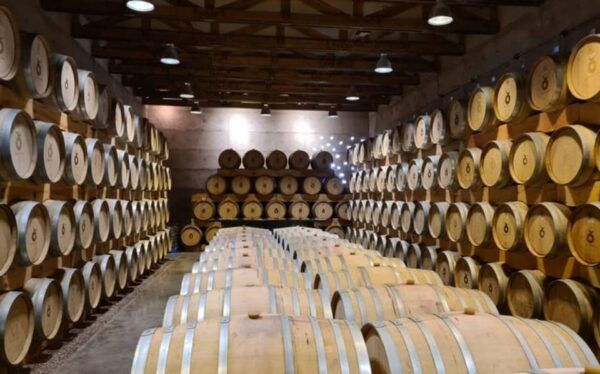 Private Wine Tour From Guanajuato City - Guided Winery Tours and Tastings