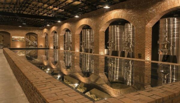 Private Wine Tour From Guanajuato City - Exploration of Historic Dolores Hidalgo