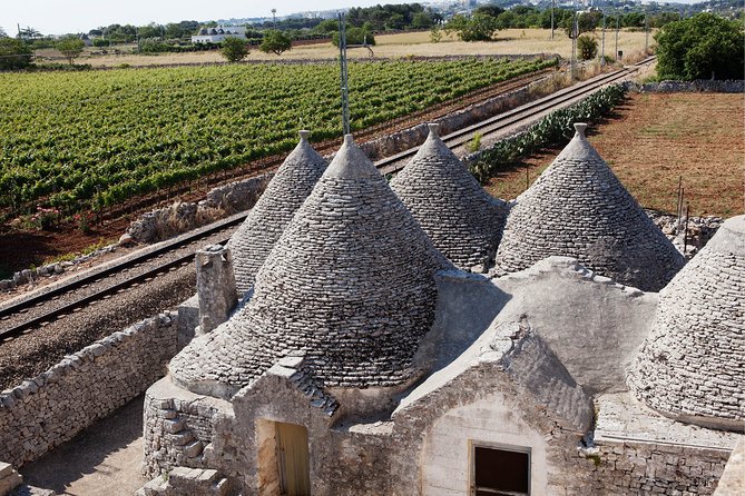 Private Wine Tour From Ostuni With Lunch Including Alberobello and Locorotondo - Tour Highlights