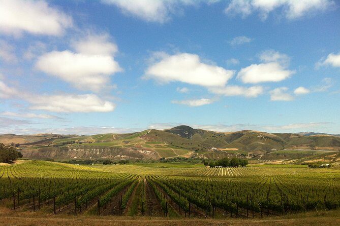 Private Wine Tour from the Santa Ynez Valley - Exploring the Santa Ynez Valley on a Private Wine Tour