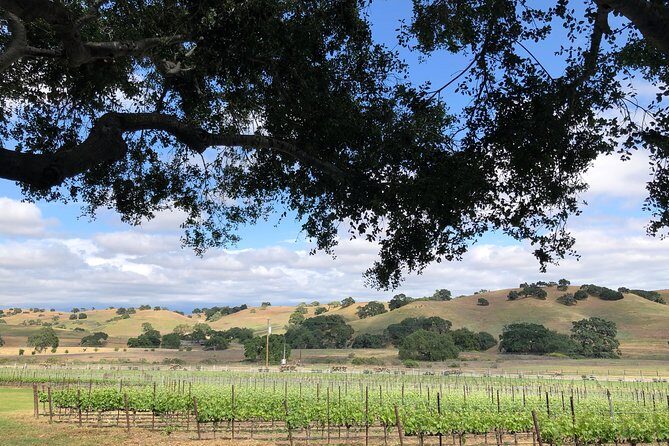 Private Wine Tour from the Santa Ynez Valley - Pricing and Value