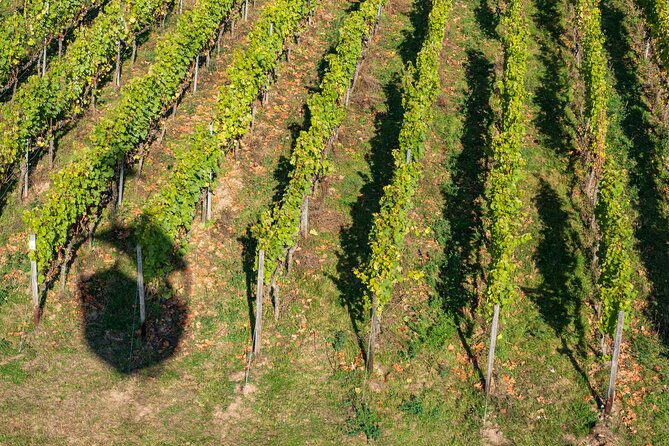 Private Wine Tour Grape Escape Rhine Valley From Frankfurt - Pickup Details