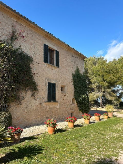 Private Wine Tour in a Mini Cabriolet! - Available Languages and Cancellation Policy