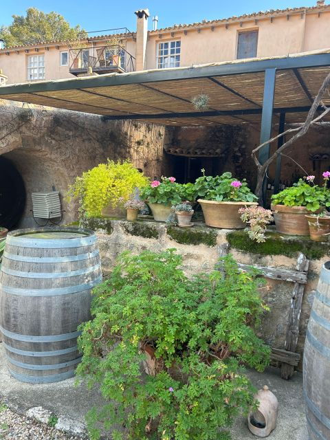 Private Wine Tour in a Mini Cabriolet! - Inclusions and Exclusions