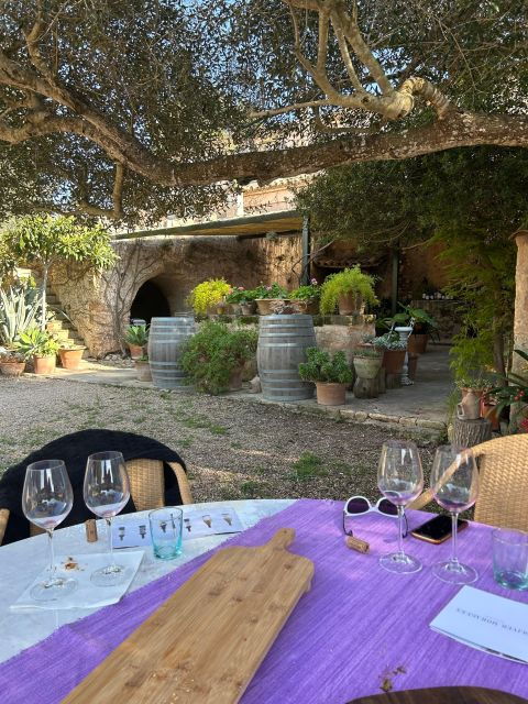 Private Wine Tour in a Mini Cabriolet! - Pickup and Drop-off Locations