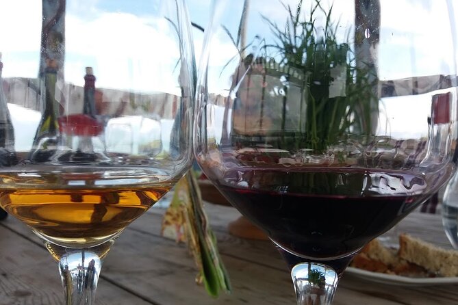 Private Wine Tour in Kakheti - Good To Know