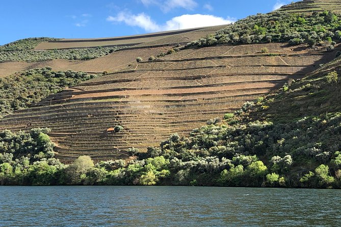 Private Wine Tour in the Douro Valley - Private Wine Tastings and Lunch Included - Inclusions