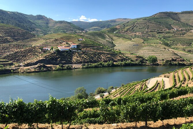 Private Wine Tour in the Douro Valley - Private Wine Tastings and Lunch Included - Meeting and Pickup