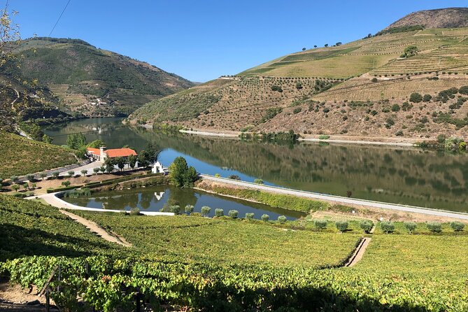 Private Wine Tour in the Douro Valley - Private Wine Tastings and Lunch Included - Memorable Experiences