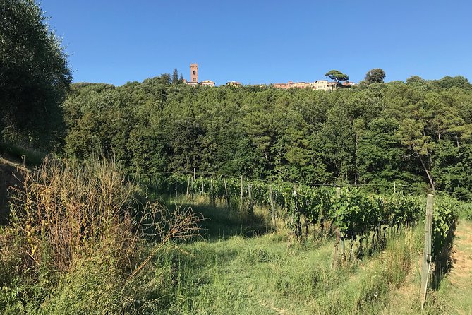 Private Wine Tour - Lucca Hills and Montecarlo (2 Wineries) - Traveler Photos