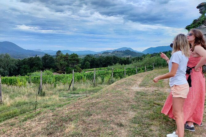 Private Wine Tour - Lucca Hills and Montecarlo (2 Wineries) - Additional Information