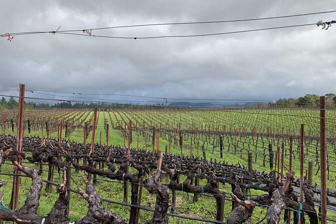 Private Wine Tour Napa or Sonoma 6 hours up to 6 people - FAQs