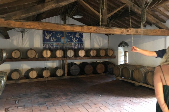 Private Wine Tour of Chianti or Montalcino - Price and Booking