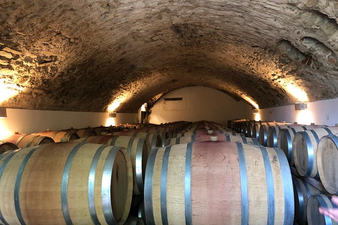 Private Wine Tour of Chianti or Montalcino - Reviews